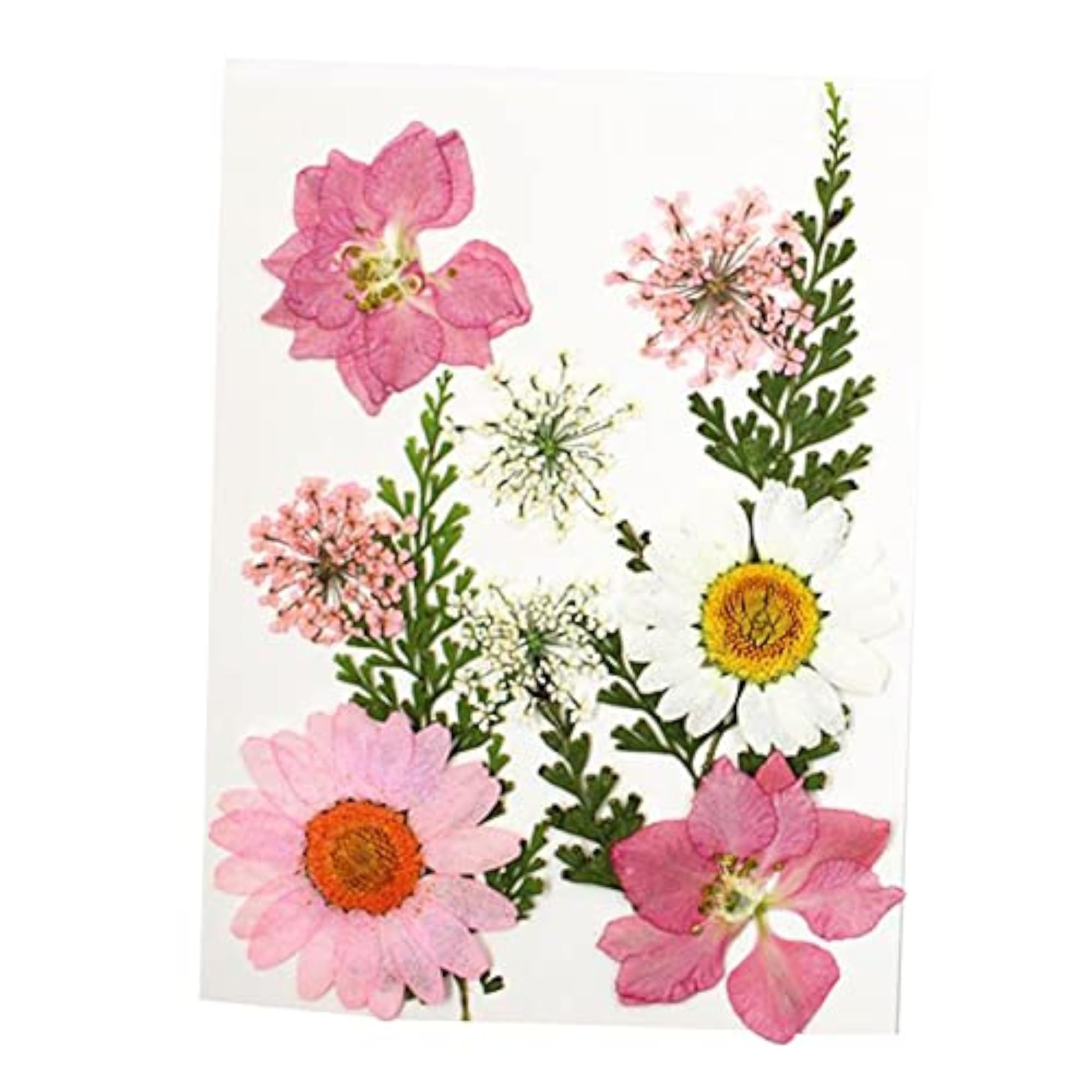 Pressed Dried Flowers Real Leaves for DIY Jewelry Crafts